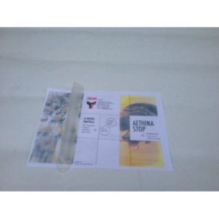 Kis kaptárbogár csapda