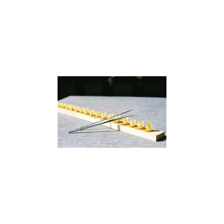 Bölcsőkezdet (viasz)