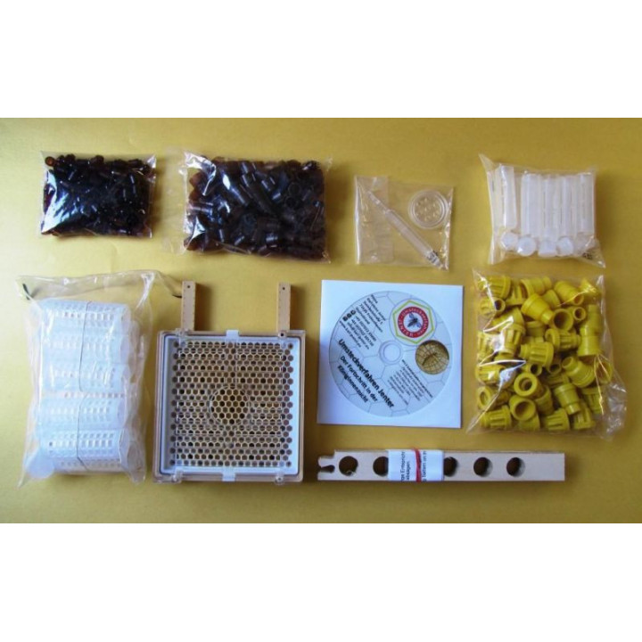 Jenter teljes anyanevelő készlet