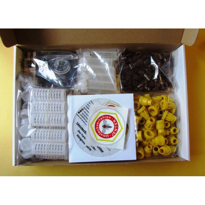 Jenter teljes anyanevelő készlet