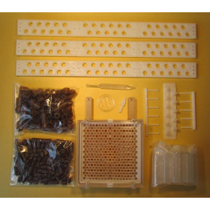 Jenter anyanevelő készlet