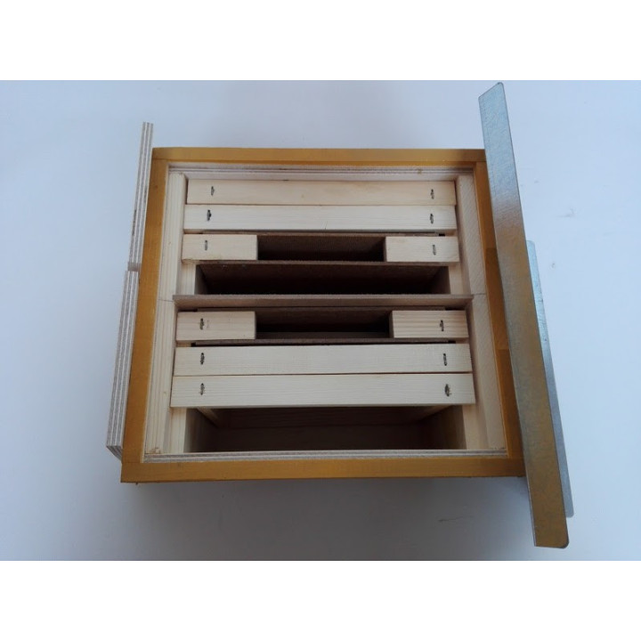 Anyanevelő kaptár, Lega Italy