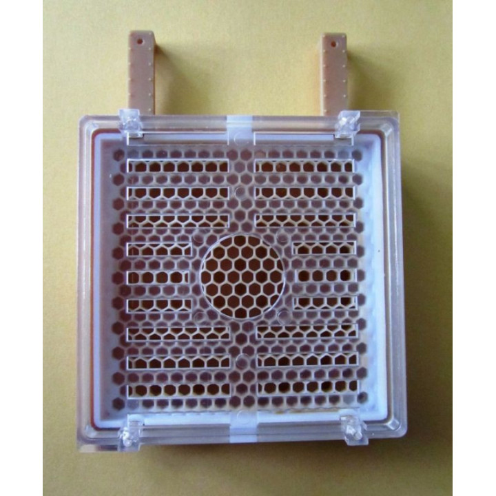 Jenter petéztető tok