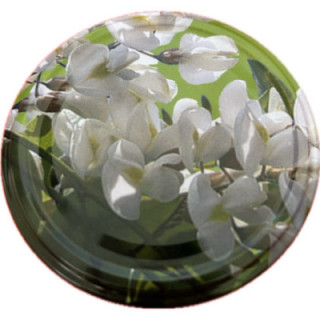 TO82 tető (akácos méh)