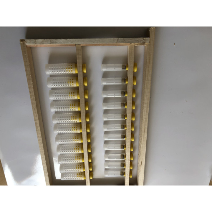 Méhanyanevelő keret Hunor, 1-1 tenyészléccel