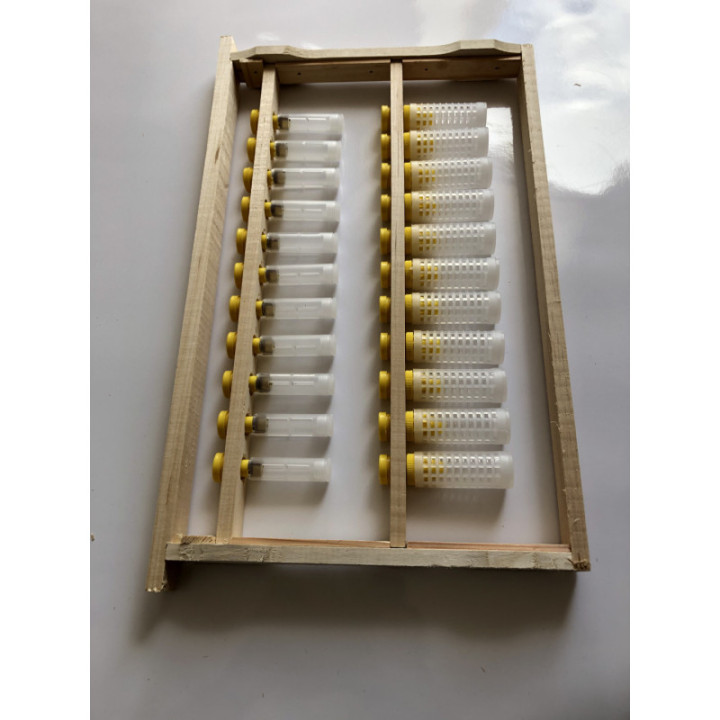 Méhanyanevelő keret Hunor, 1-1 tenyészléccel