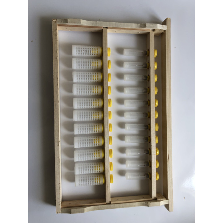 Méhanyanevelő keret Hunor, 1-1 tenyészléccel